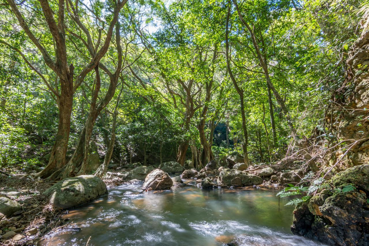 Rinconcito Lodge Hacienda Santa María Zewnętrze zdjęcie